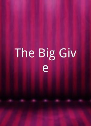 The Big Give海报封面图