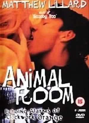 Animal Room海报封面图