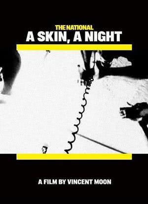 暗夜肌膚海报封面图