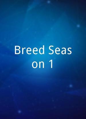 Breed Season 1海报封面图