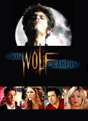 Big Wolf on Campus海报封面图