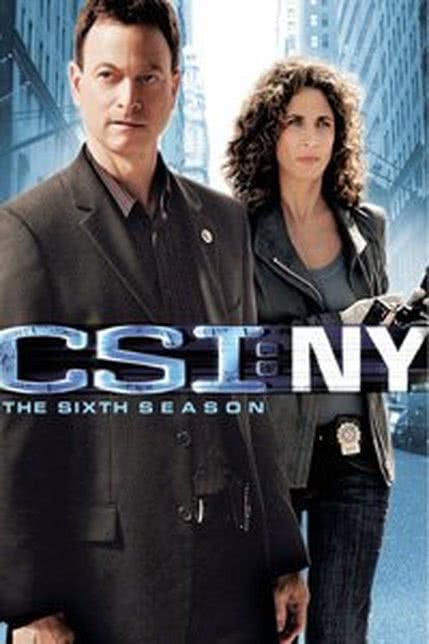 犯罪现场调查：纽约第六季