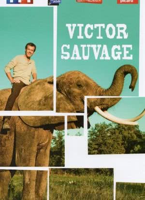 Victor Sauvage海报封面图