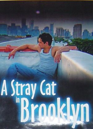 A Stray Cat in Brooklyn海报封面图
