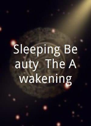 Sleeping Beauty: The Awakening海报封面图
