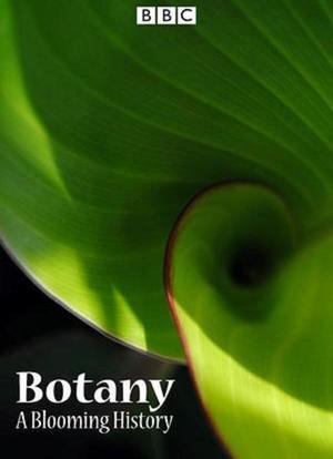 植物学：绽放的历史 第一季海报封面图