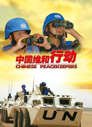 中国维和行动海报封面图
