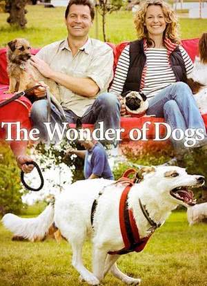 狗狗的奇妙世界 第一季海报封面图