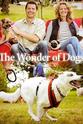 Steve Leonard 狗狗的奇妙世界 第一季