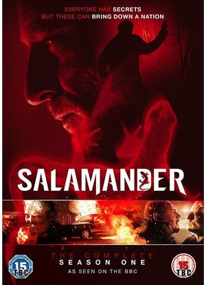Salamander海报封面图