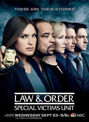 法律与秩序：特殊受害者 第十七季海报封面图