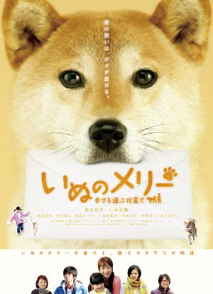 小狗Merry：承载幸福的传信犬海报封面图