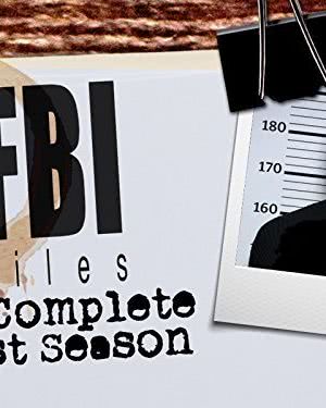 FBI档案海报封面图