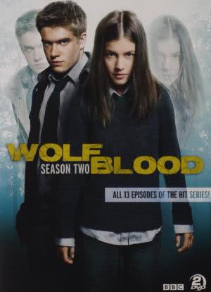 狼血少年 第二季海报封面图