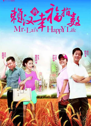 赖汉的幸福指数海报封面图