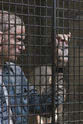 塔瑞克·拉米尼 越狱 第五季