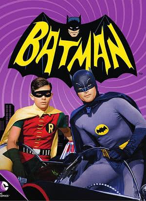 蝙蝠侠 第一季海报封面图