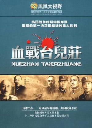 决胜：台儿庄战役70周年祭海报封面图