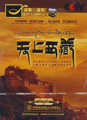 天上西藏海报封面图