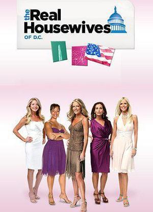 The Real Housewives of D.C.海报封面图