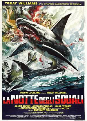 恐怖鲨鱼夜海报封面图