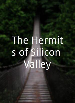The Hermits of Silicon Valley海报封面图