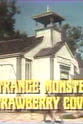 Jimmy Bracken The Strange Monster of Strawberry Cove