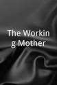 Seth Edwards The Working Mother