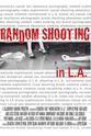 Barbara Lindsay Random Shooting in L.A.