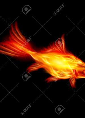 A Goldfish of the Flame海报封面图
