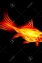Calvin Cross A Goldfish of the Flame