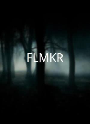 FLMKR海报封面图