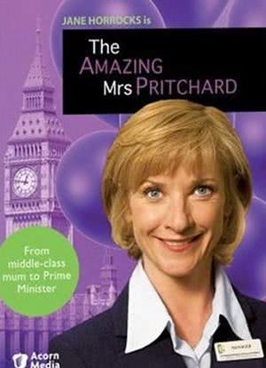 The Amazing Mrs Pritchard海报封面图
