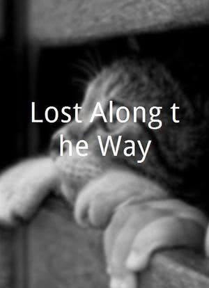Lost Along the Way海报封面图
