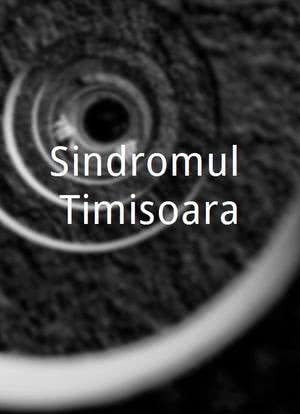 Sindromul Timisoara海报封面图