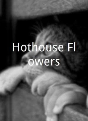 Hothouse Flowers海报封面图