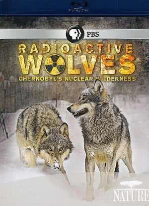 核辐射下的狼群海报封面图
