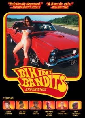 Bikini Bandits海报封面图