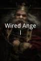 Ed Stout Wired Angel