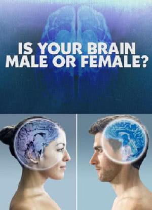 你的大脑是男性还是女性海报封面图