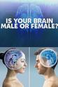 Simon Baron-Cohen 你的大脑是男性还是女性