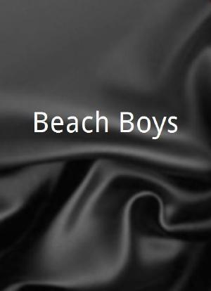 Beach Boys海报封面图