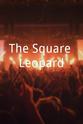 Toby Waldock The Square Leopard