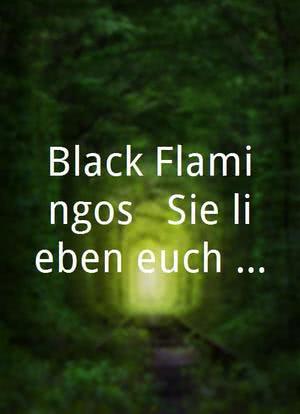 Black Flamingos - Sie lieben euch zu Tode海报封面图