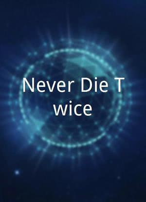 Never Die Twice海报封面图