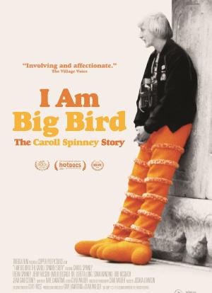 我是大鸟：卡洛尔·斯宾尼的故事海报封面图