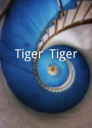 Tiger, Tiger海报封面图