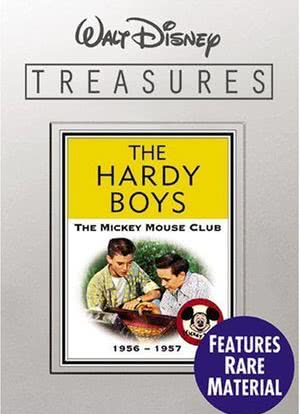 The Hardy Boys: The Mystery of the Applegate Treasure海报封面图