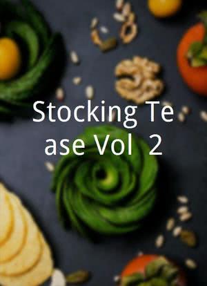 Stocking Tease Vol. 2海报封面图