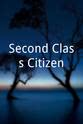 steven dehler Second Class Citizen
